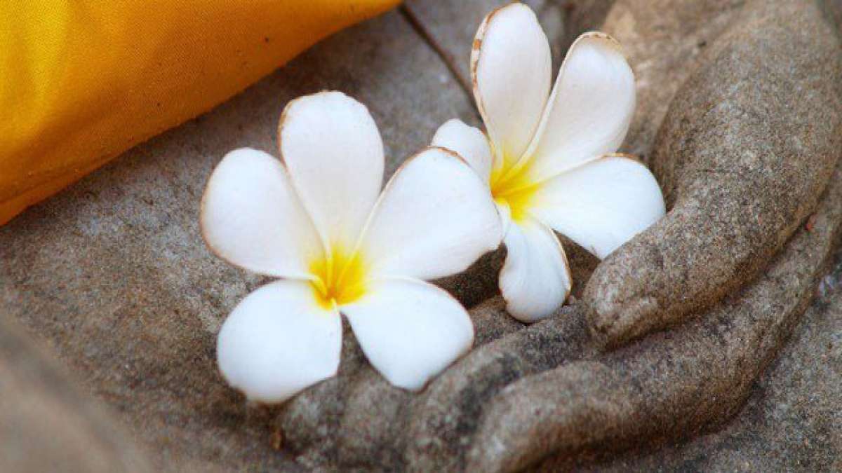 Entdecken Sie den Tag des greifbaren Karma, an dem die Idee des Karma und die Energie, die wir in die Welt setzen, gefeiert werden.