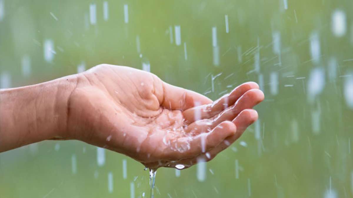 Regen bringt einen sauberen Duft und neues Leben. Er ist ein Tag der Ruhe und Entspannung, an dem man sich zurücklehnen und einfach genießen kann. Regen bringt einen sauberen Duft und neues Leben. Er ist ein Tag der Ruhe und Entspannung, an dem man sich zurücklehnen und einfach genießen kann.