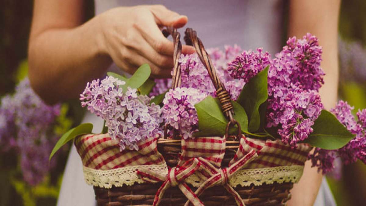 Verbreiten Sie Freundlichkeit und Positivität an diesem Tag des netten Handelns. Verbreiten Sie Freundlichkeit und Positivität an diesem Tag des netten Handelns.