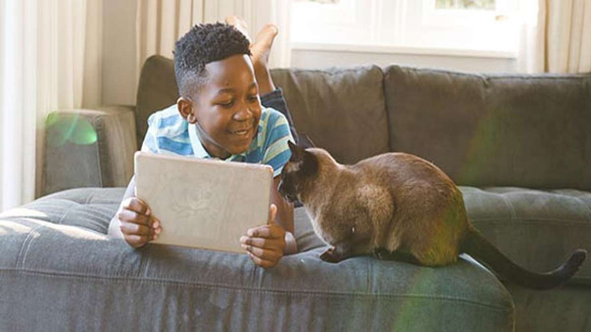 Feiern Sie die bedingungslose Liebe und die einzigartigen Eigenschaften Ihrer Haustiere in der Nationalen Haustierwoche!