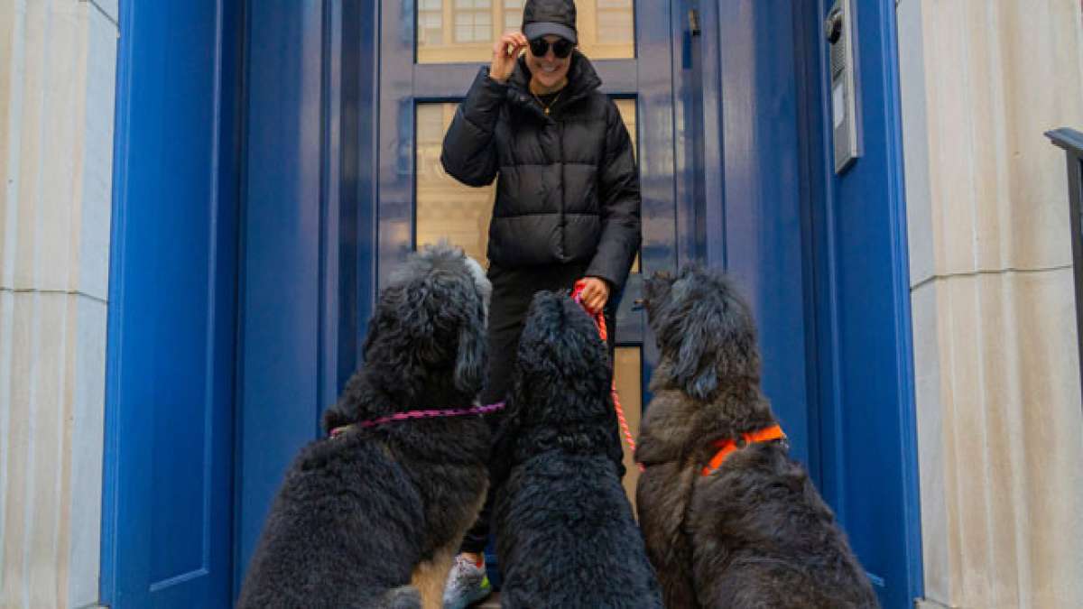Nationaler Tag der Anerkennung des Hundeführers: Hundeausführer sind die Helden der Vierbeiner Nationaler Tag der Anerkennung des Hundeführers: Hundeausführer sind die Helden der Vierbeiner