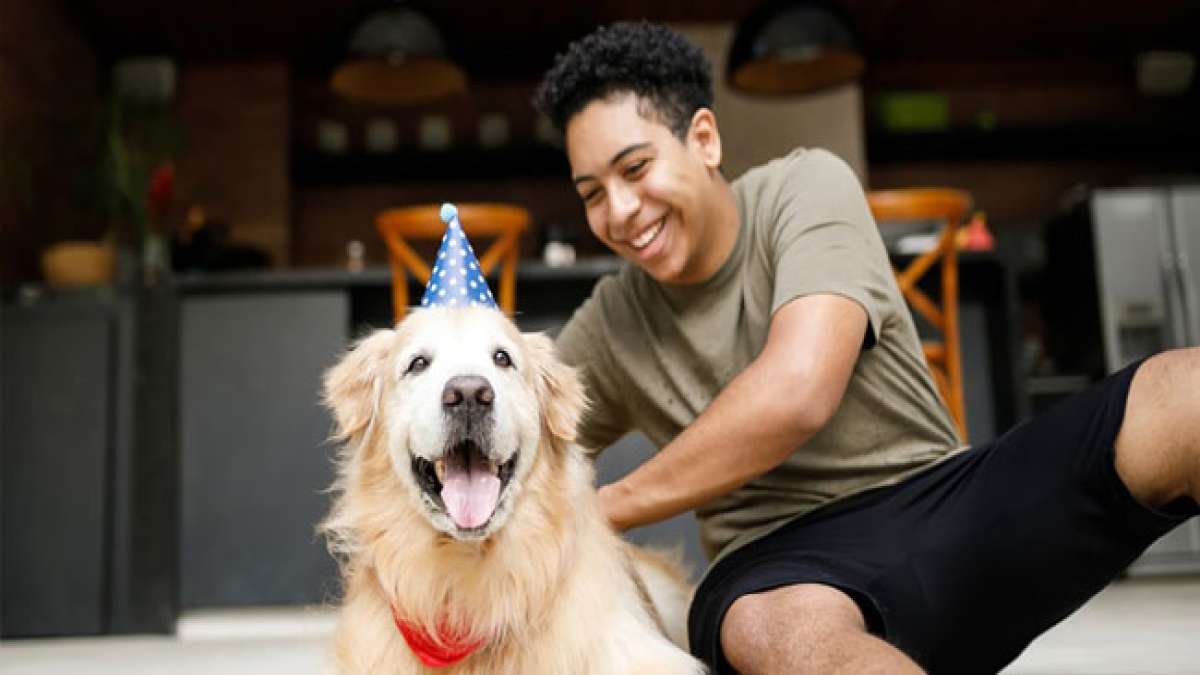 Feiern Sie den universellen Tierheim-Haustiergeburtstag am 1. August (oder "DOGust 1st") mit einem selbstgemachten Geschenk für Heimhunde und verbreiten Sie Liebe im örtlichen Tierheim.