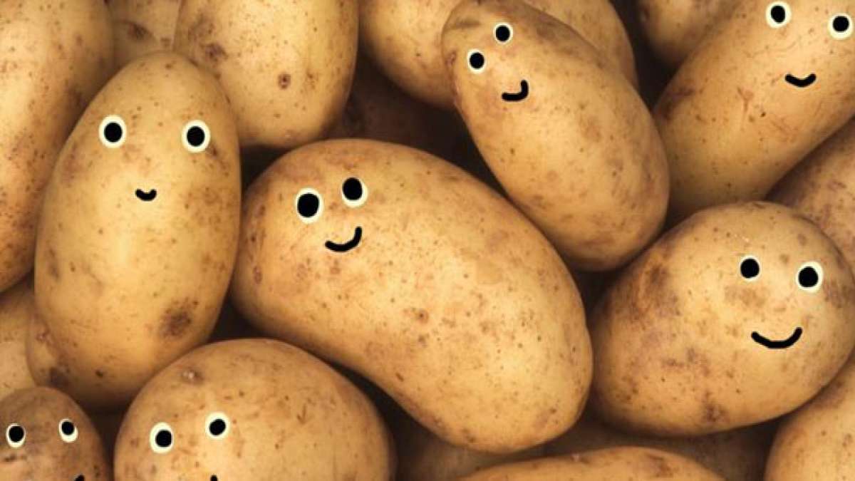 Entdecken Sie die faszinierende Geschichte und Vielfalt der Kartoffel, die bis zu den Inkas in Peru zurückreicht. Entdecken Sie die faszinierende Geschichte und Vielfalt der Kartoffel, die bis zu den Inkas in Peru zurückreicht.