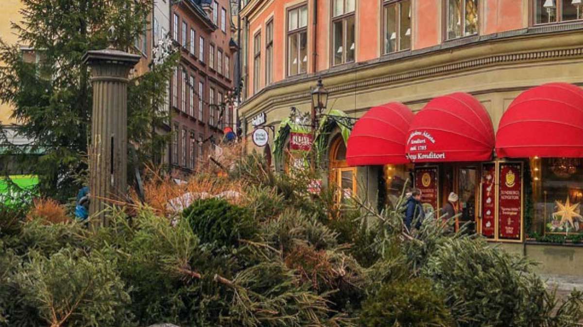 Feiern Sie das Ende der Weihnachtszeit mit dem St. Knutstag in Norwegen und Schweden. Feiern Sie das Ende der Weihnachtszeit mit dem St. Knutstag in Norwegen und Schweden.