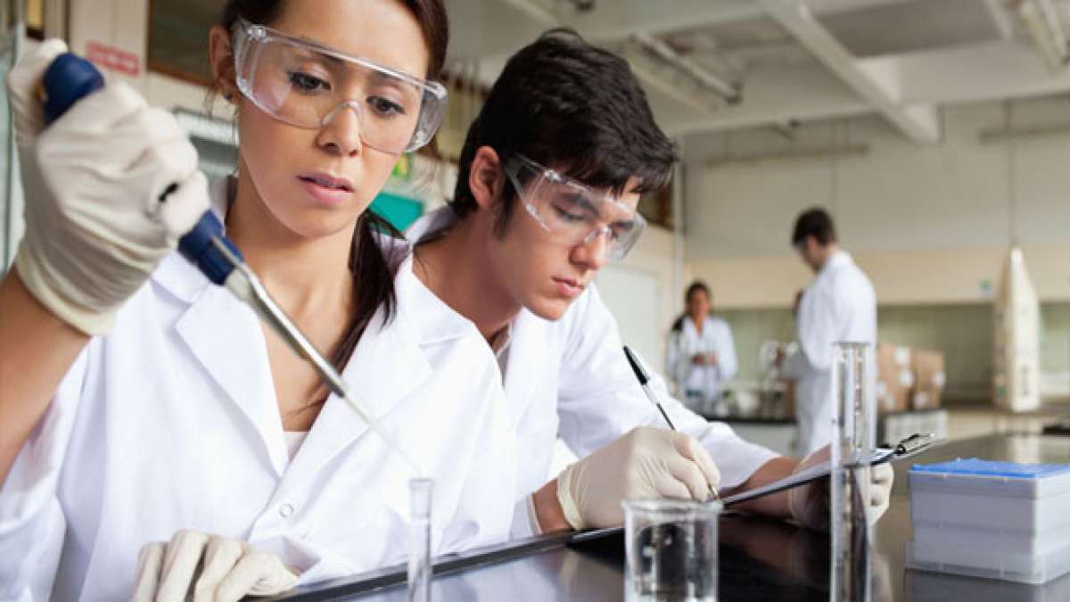 Erleben Sie wissenschaftliche Experimente, Gruppenarbeiten und spannende Vorträge, um Ihr Interesse an der Welt der Wissenschaft zu wecken und zu feiern. Erleben Sie wissenschaftliche Experimente, Gruppenarbeiten und spannende Vorträge, um Ihr Interesse an der Welt der Wissenschaft zu wecken und zu feiern.