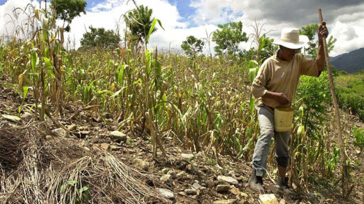 Erleben Sie die faszinierende Maya-Tradition des Tag der Frostversiegelung in Guatemala, wo Dorfbewohner gemeinsam gegen die Gefahr von Frost kämpfen, der ihre Ernten bedroht.