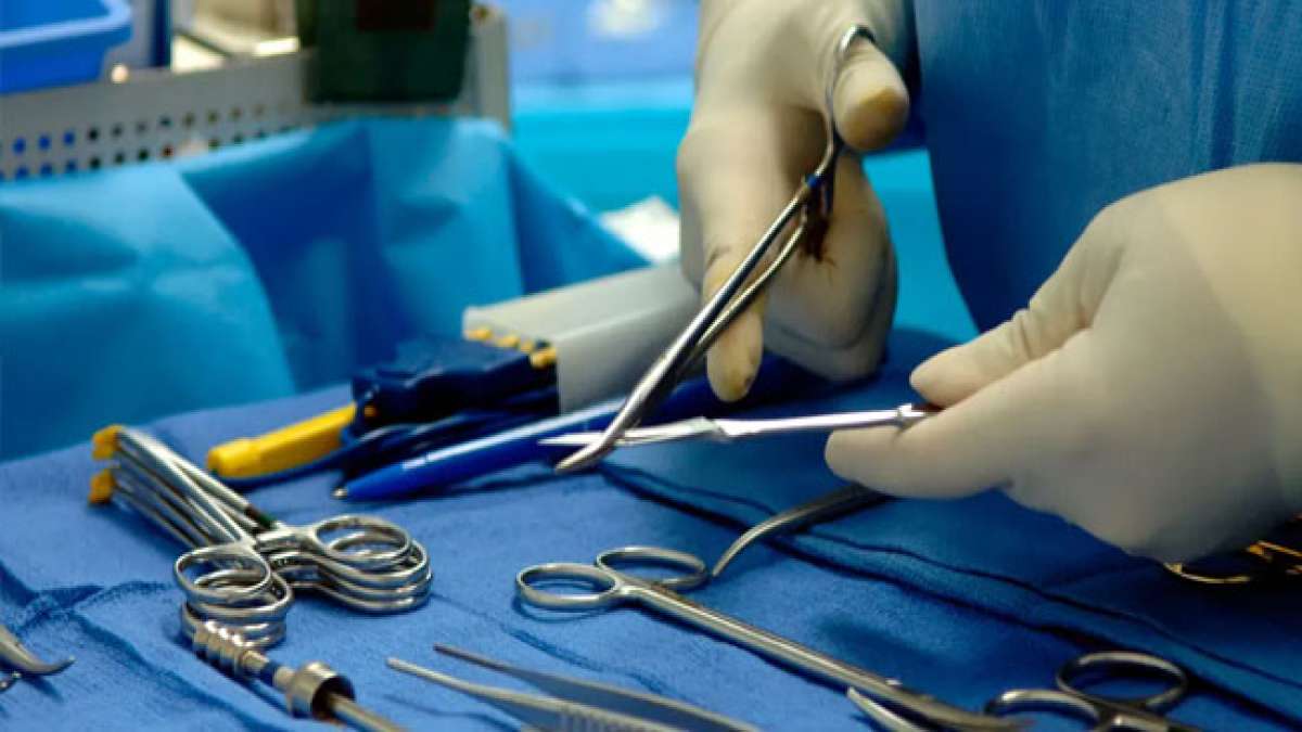 Entdecken Sie die Macht der Organspende und Transplantation am Nationalen Gedenktag in Frankreich. Entdecken Sie die Macht der Organspende und Transplantation am Nationalen Gedenktag in Frankreich.