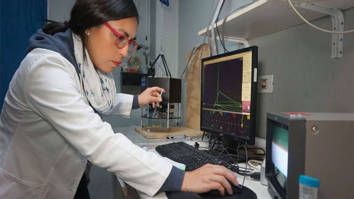 Argentinien gedenkt am 3. Juli der Gründung des ersten Bioingenieur-Programms des Landes. Ein Tag, um die Arbeit dieser wichtigen Ingenieure zu würdigen. Argentinien gedenkt am 3. Juli der Gründung des ersten Bioingenieur-Programms des Landes. Ein Tag, um die Arbeit dieser wichtigen Ingenieure zu würdigen.