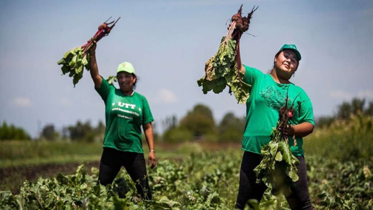 Argentinien gedenkt am 6. August des Beginns der höheren Agrarstudien. Ein Tag, um die Zukunft der Landwirtschaft zu sichern. Argentinien gedenkt am 6. August des Beginns der höheren Agrarstudien. Ein Tag, um die Zukunft der Landwirtschaft zu sichern.