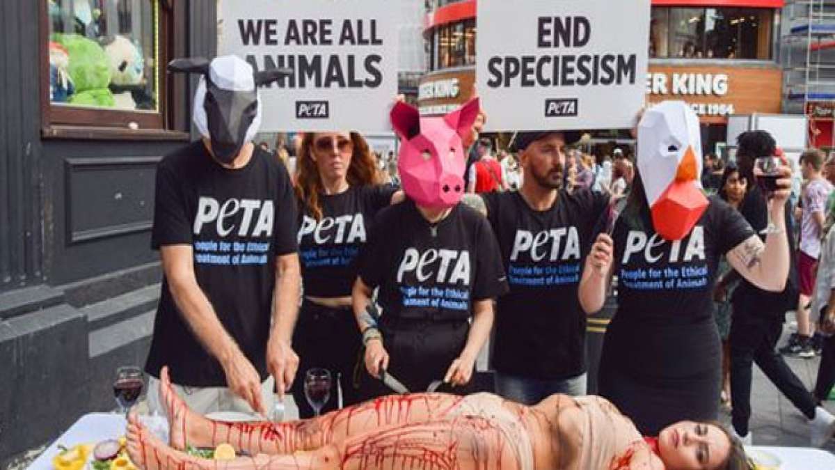 Welttag für das Ende des Speziesismus: Ein Tag, um über die Gleichberechtigung aller Lebewesen nachzudenken.