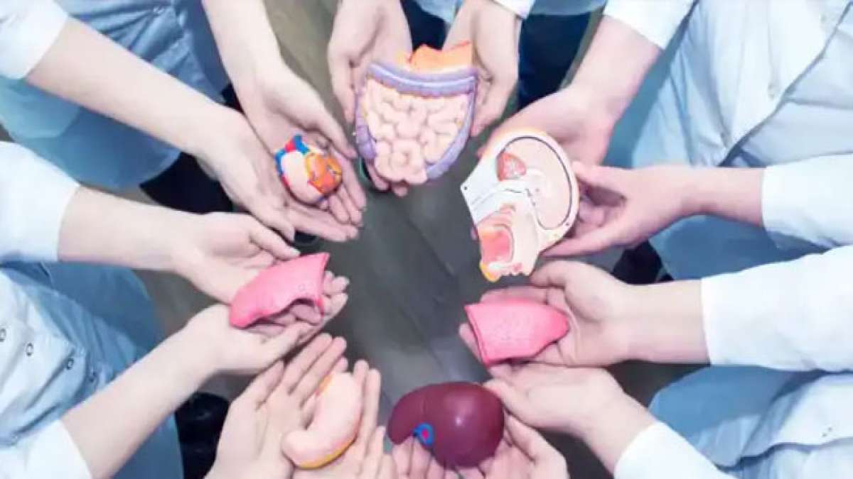 Retten Sie Leben am Welttag der Organspende und -transplantation am 17. Oktober.