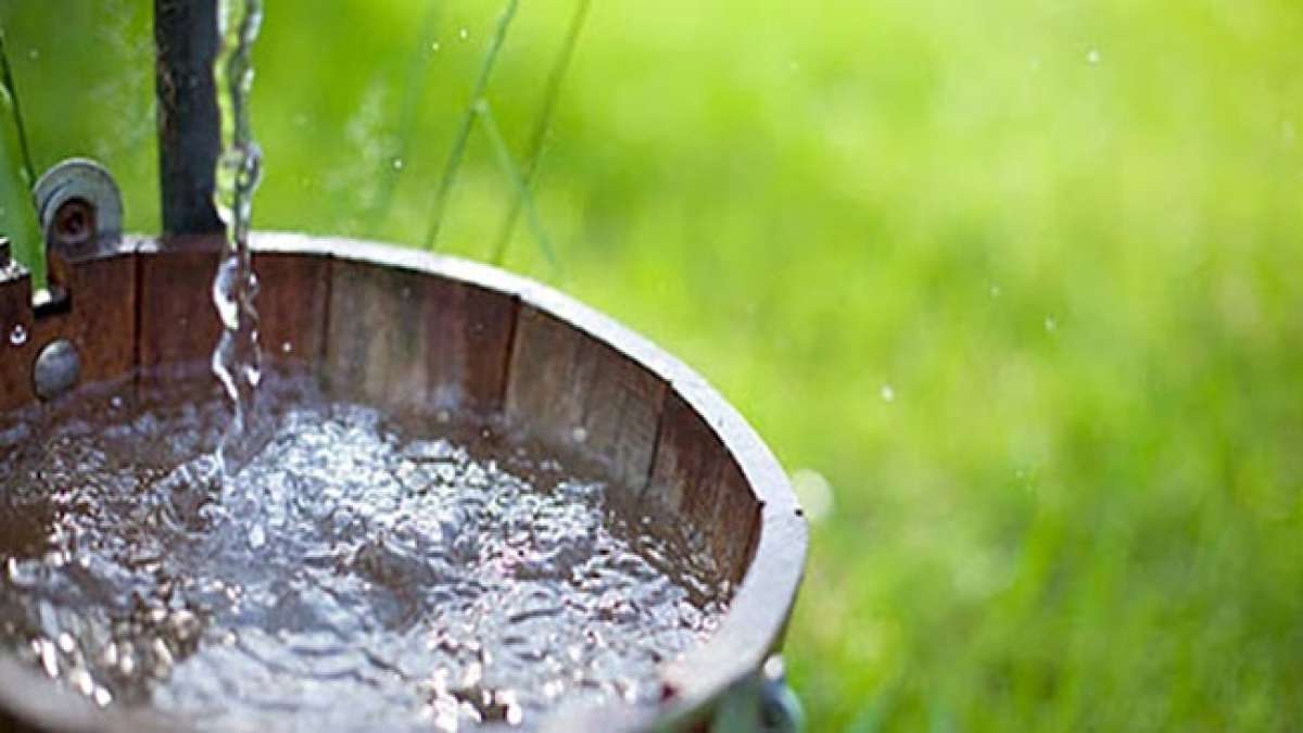 Feiern Sie Bhutans Gesegneten Regentag, an dem die Beendigung der Monsunzeit mit heiligem Wasser und Reinigungsritualen zelebriert wird. Feiern Sie Bhutans Gesegneten Regentag, an dem die Beendigung der Monsunzeit mit heiligem Wasser und Reinigungsritualen zelebriert wird.