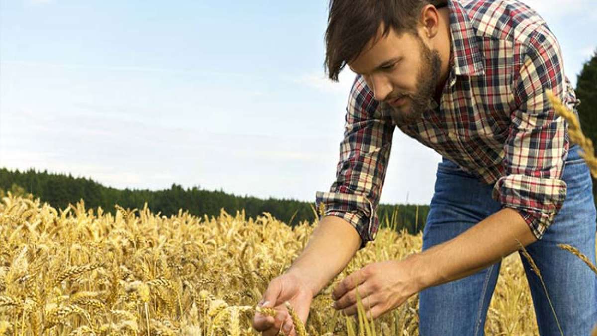 Feiern Sie die Zukunft der Landwirtschaft: Nationale FFA-Woche in den USA würdigt junge Führungskräfte und die Zukunft der Landwirtschaft.
