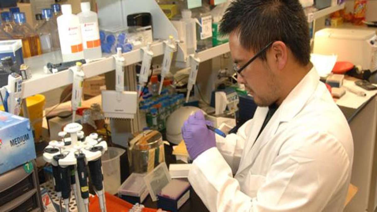 Entdecken Sie die Welt der biomedizinischen Laboratoriumsforschung und feiern Sie den Beitrag dieser Fachleute zur diagnostischen Gesundheitsversorgung.