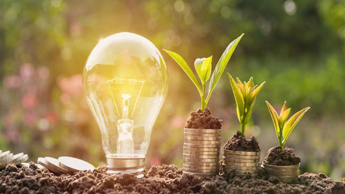 Entdecken Sie den Weg zu einer nachhaltigeren Welt am Internationalen Tag des Energiesparens!