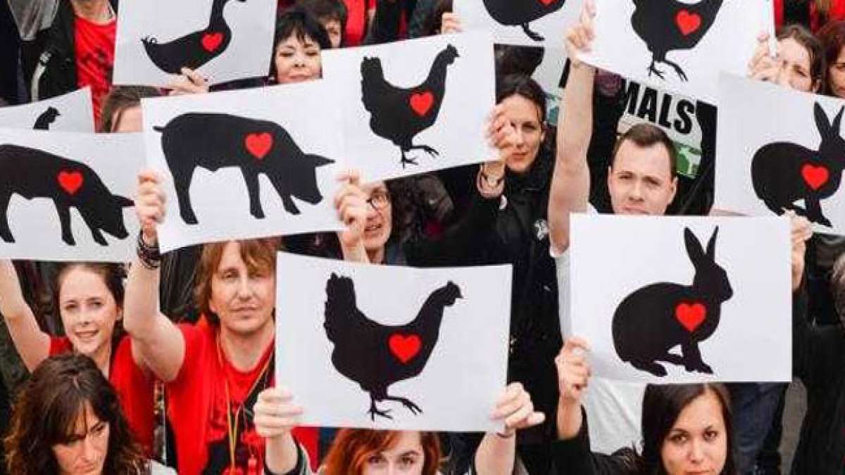 Feiern Sie den Internationalen Tag der Tierrechte! Feiern Sie den Internationalen Tag der Tierrechte!
