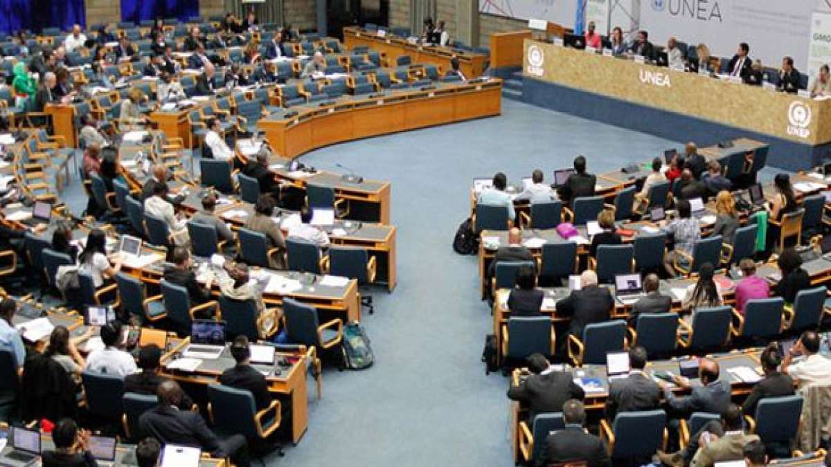 Unterstützen Sie den Stiftungstag des UNEP und setzen Sie sich für eine nachhaltige Zukunft ein.