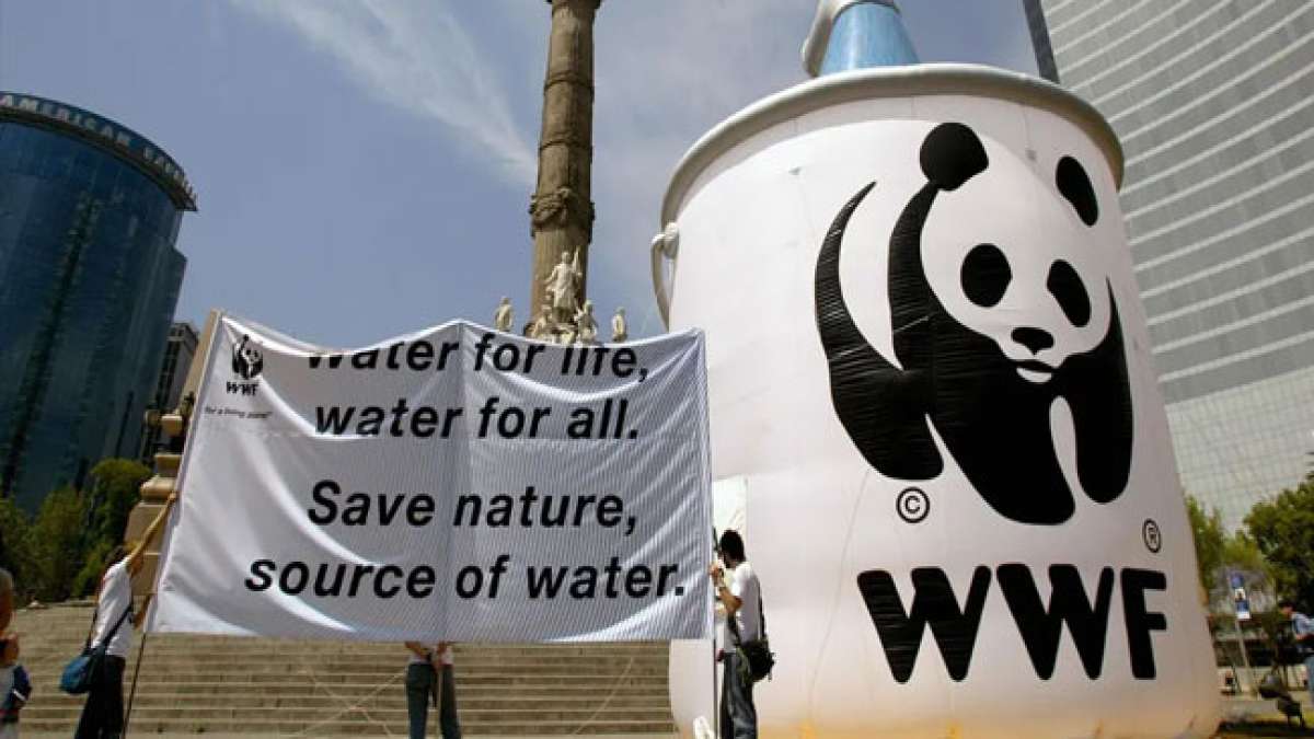 Feiern Sie den Geburtstag des World Wildlife Fund!