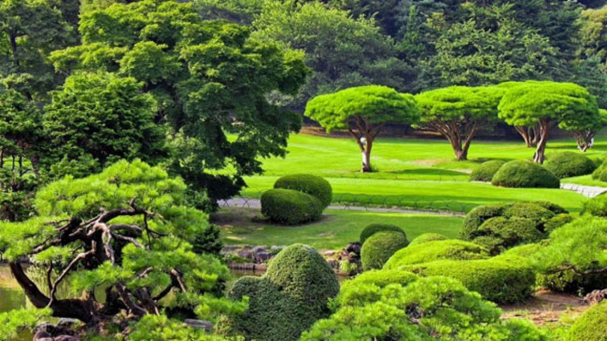 Erfahren Sie mehr über die Geschichte dieses Feiertags und die Bedeutung der Natur in der japanischen Kultur.