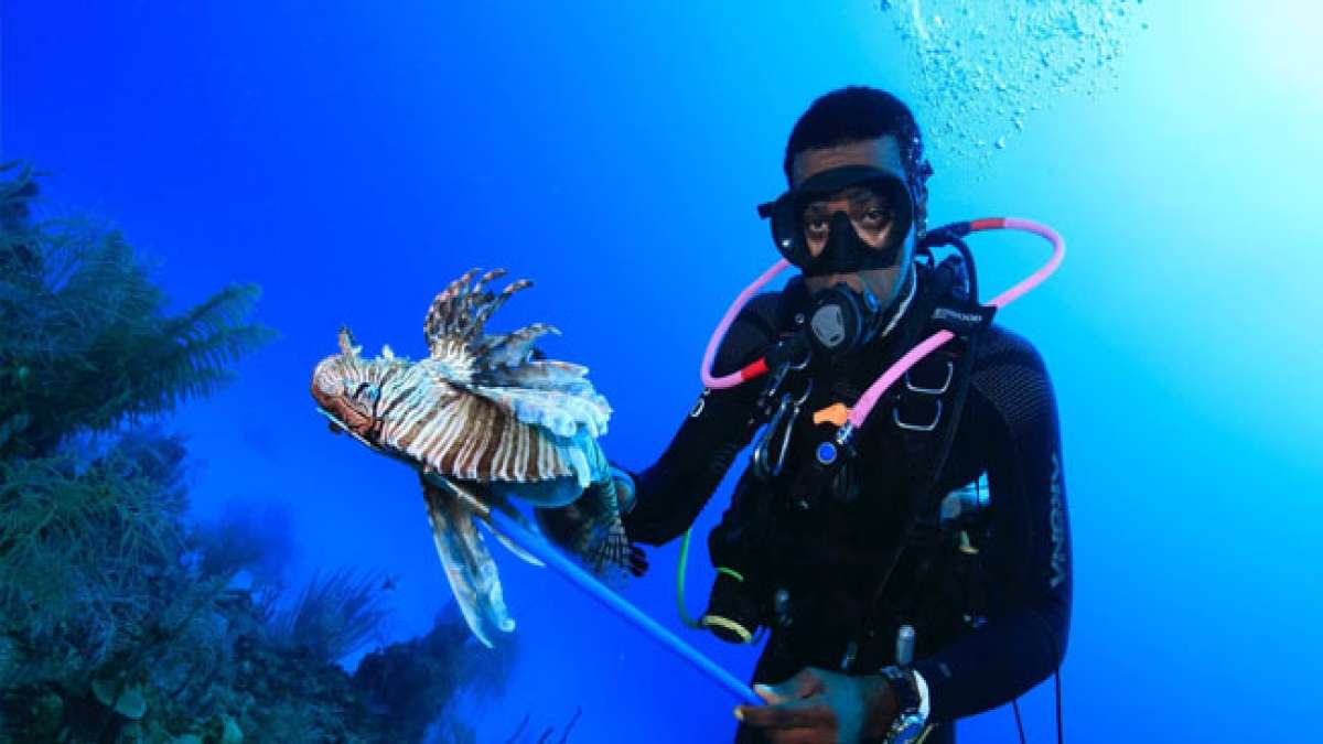 Rotfeuerfischjagd in Belize: Bekämpfen Sie die invasive Spezies und erleben Sie aufregende Tauchabenteuer.