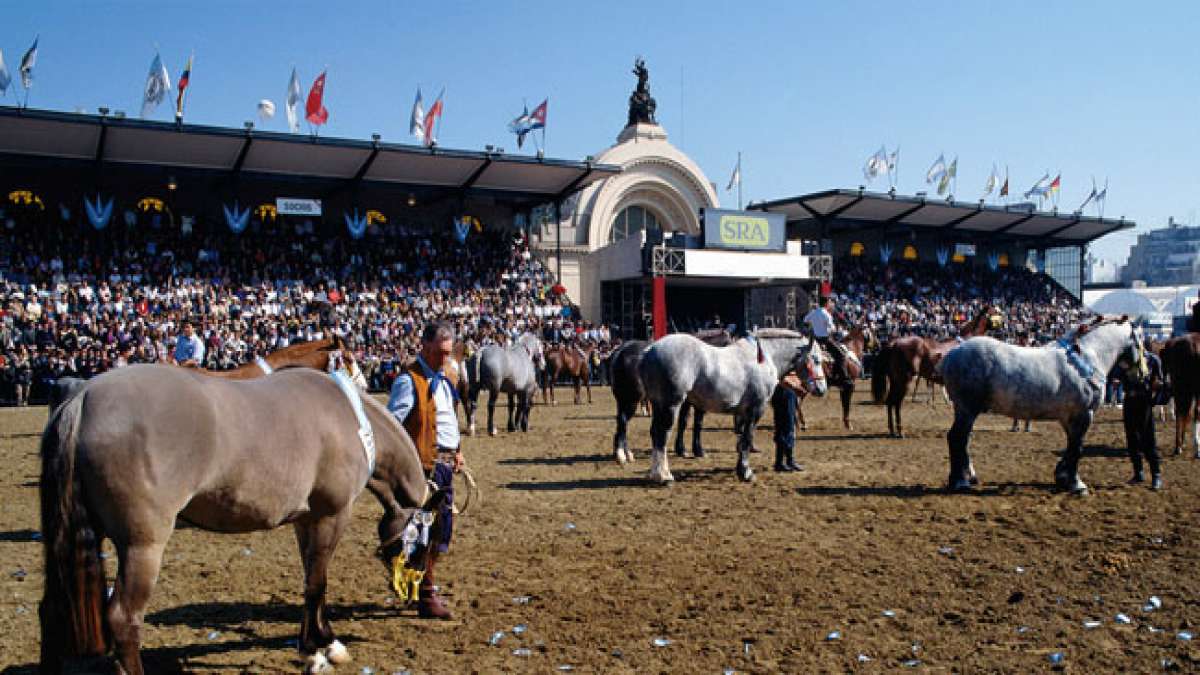 Erleben Sie die Faszination der Exposición Rural Argentina, einer traditionsreichen Veranstaltung, die von der argentinischen Gesellschaft für den ländlichen Raum ausgerichtet wird.