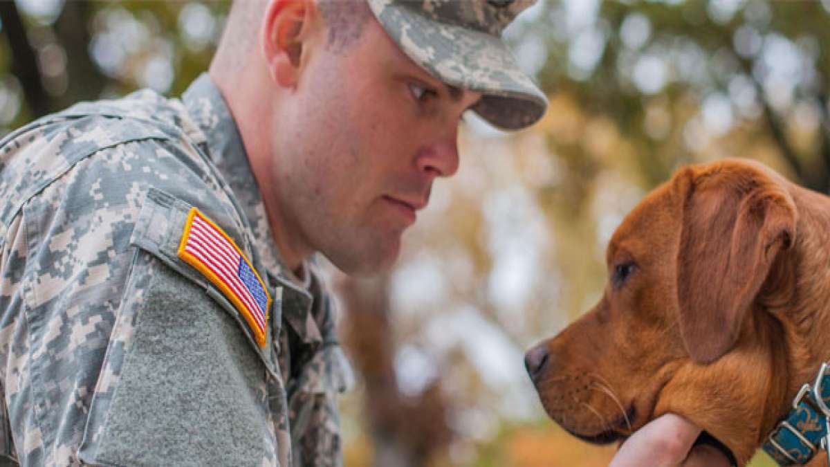 Feiern Sie den Nationalen Haustiere für Veteranentag am 21. Oktober und erkennen Sie die heilende Verbindung zwischen Veteranen und ihren tierischen Begleitern an. Feiern Sie den Nationalen Haustiere für Veteranentag am 21. Oktober und erkennen Sie die heilende Verbindung zwischen Veteranen und ihren tierischen Begleitern an.