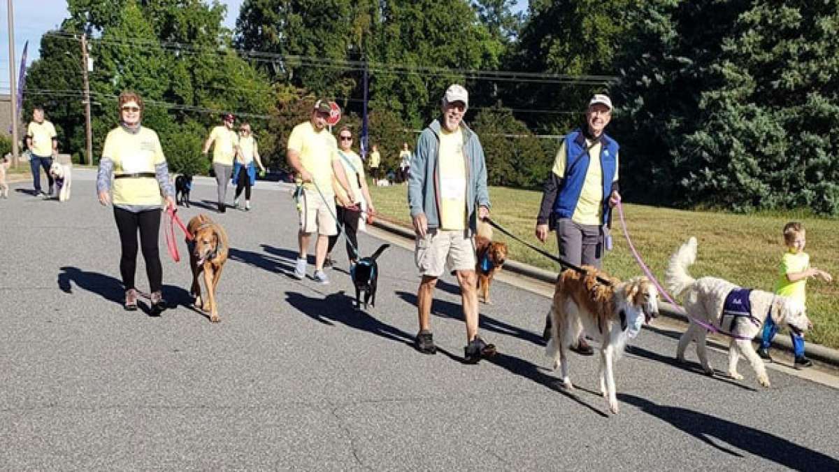 Nehmen Sie am größten Haustierspaziergang der Welt teil und erleben Sie die Freude der Bewegung mit Ihren Haustieren.