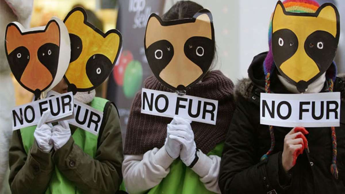 Eine Woche, um Tierrechte zu feiern und zu fördern.