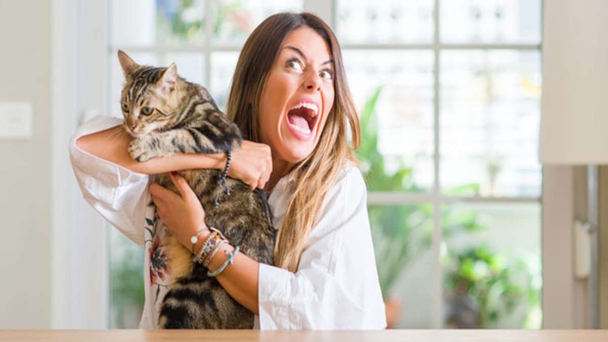 Feiern Sie den Internationalen Tag der Katzendame und würdigen Sie die stolzen und fürsorglichen Frauen, die ihre Liebe zu Katzen zelebrieren.