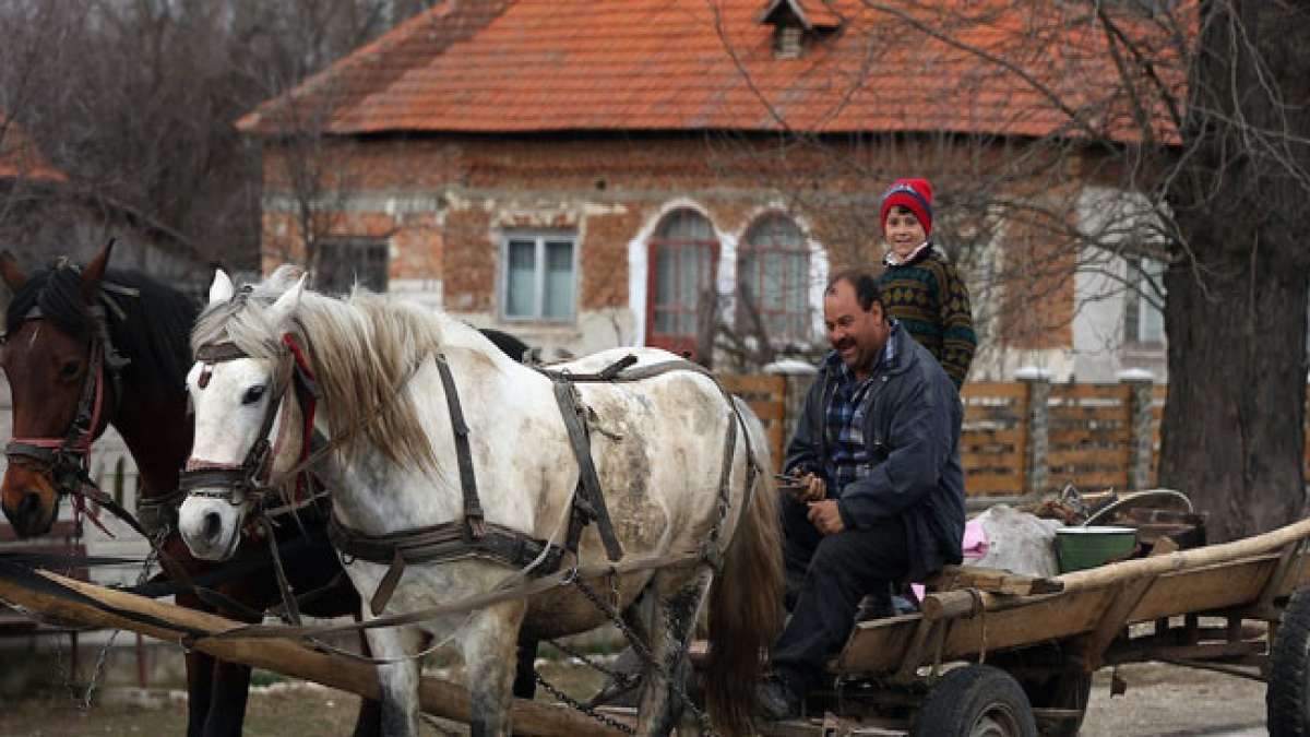 Feiern Sie den Vatertag in Rumänien und würdigen Sie die bedeutende Rolle der Väter in der Erziehung und Familie.