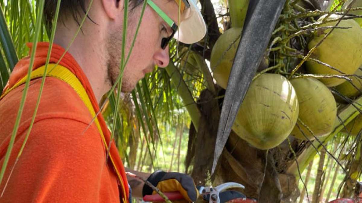 Entdecken Sie die vielfältige Welt der Kokosnuss am Nationalen Kokosnusstag in den USA. Entdecken Sie die vielfältige Welt der Kokosnuss am Nationalen Kokosnusstag in den USA.