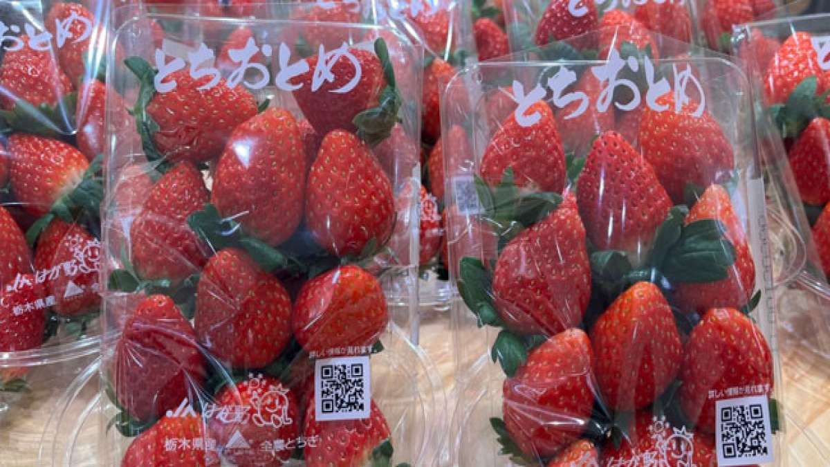 Japans Erdbeertag: Süßes Fest am 5. Januar.