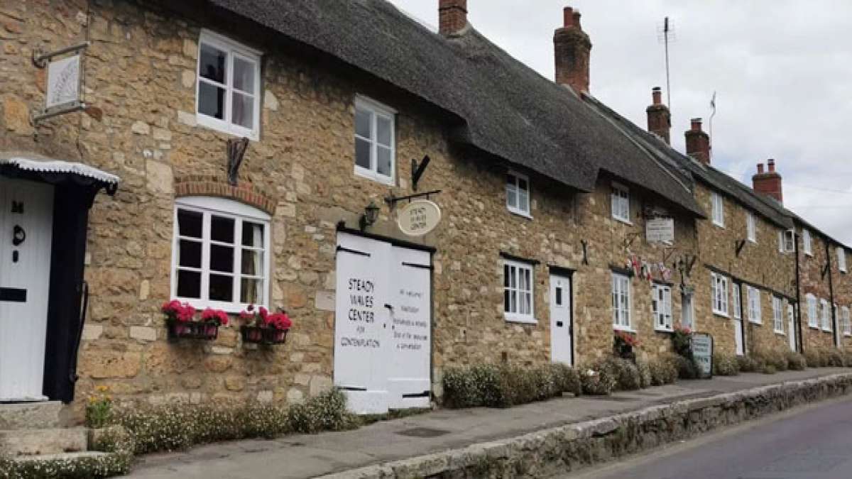 Feiern Sie die jahrhundertealte Tradition des Girlandentags in Abbotsbury, England, bei der Kinder Girlanden anfertigen und sie im Meer segnen.