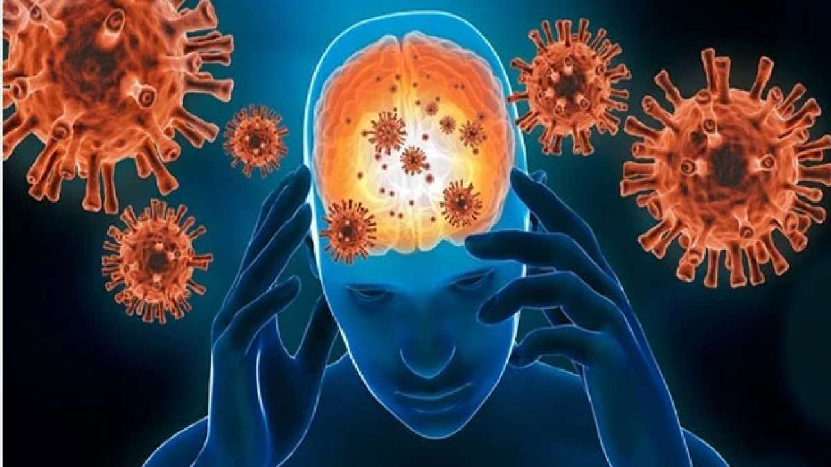 Welt-Enzephalitis-Tag: Ein Tag, um die Betroffenen zu unterstützen und die Krankheit zu bekämpfen.