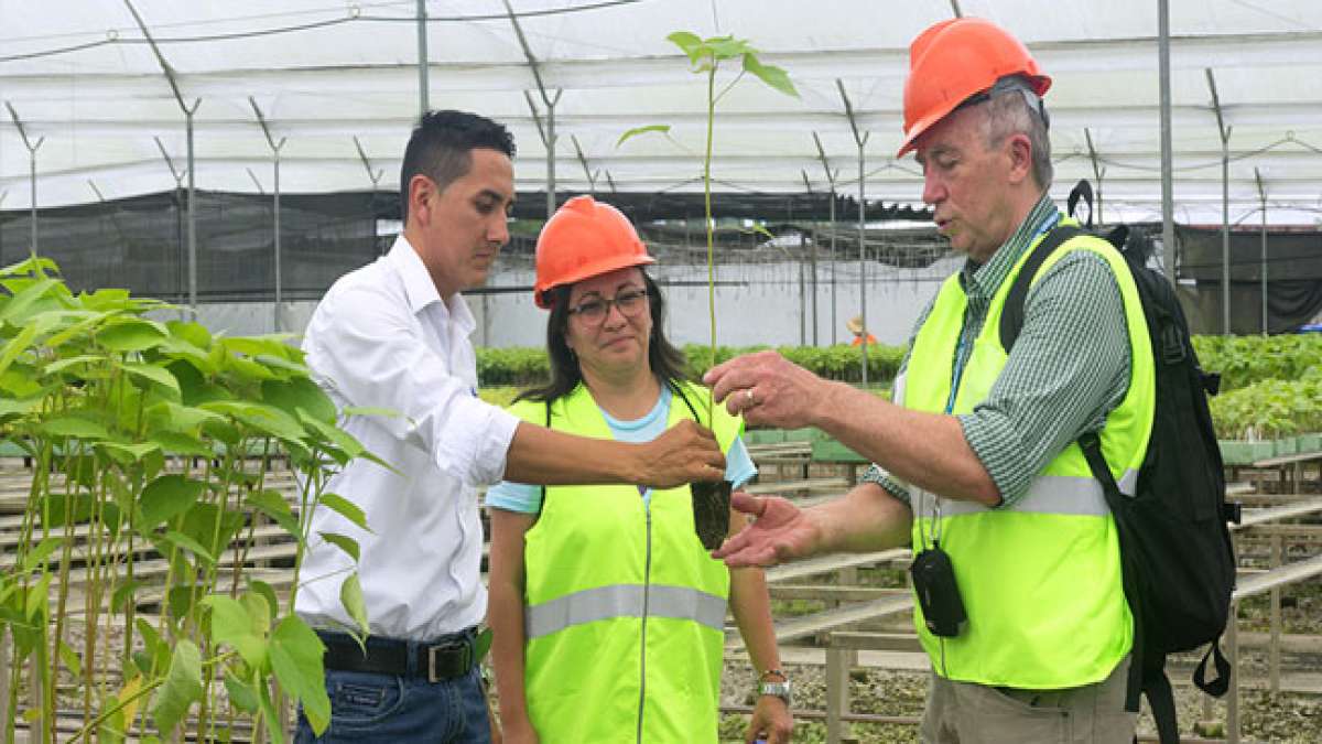 Feiern Sie den Tag des Agraringenieurs in Ecuador und entdecken Sie die faszinierende Welt der Agrartechnik, die die nachhaltige Nutzung natürlicher Ressourcen für eine bessere Landwirtschaft fördert. Feiern Sie den Tag des Agraringenieurs in Ecuador und entdecken Sie die faszinierende Welt der Agrartechnik, die die nachhaltige Nutzung natürlicher Ressourcen für eine bessere Landwirtschaft fördert.