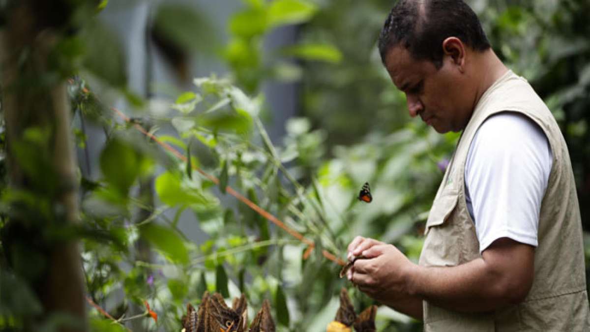 Feiern Sie den Tag des Biologen in Panama am 28. August