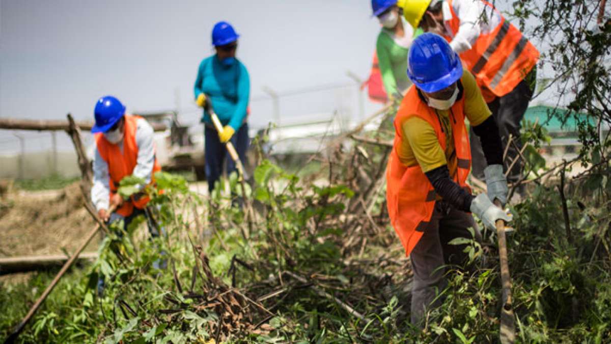 Feiern Sie den Tag des Landwirtschaftsingenieurs in Peru am 30. Juni