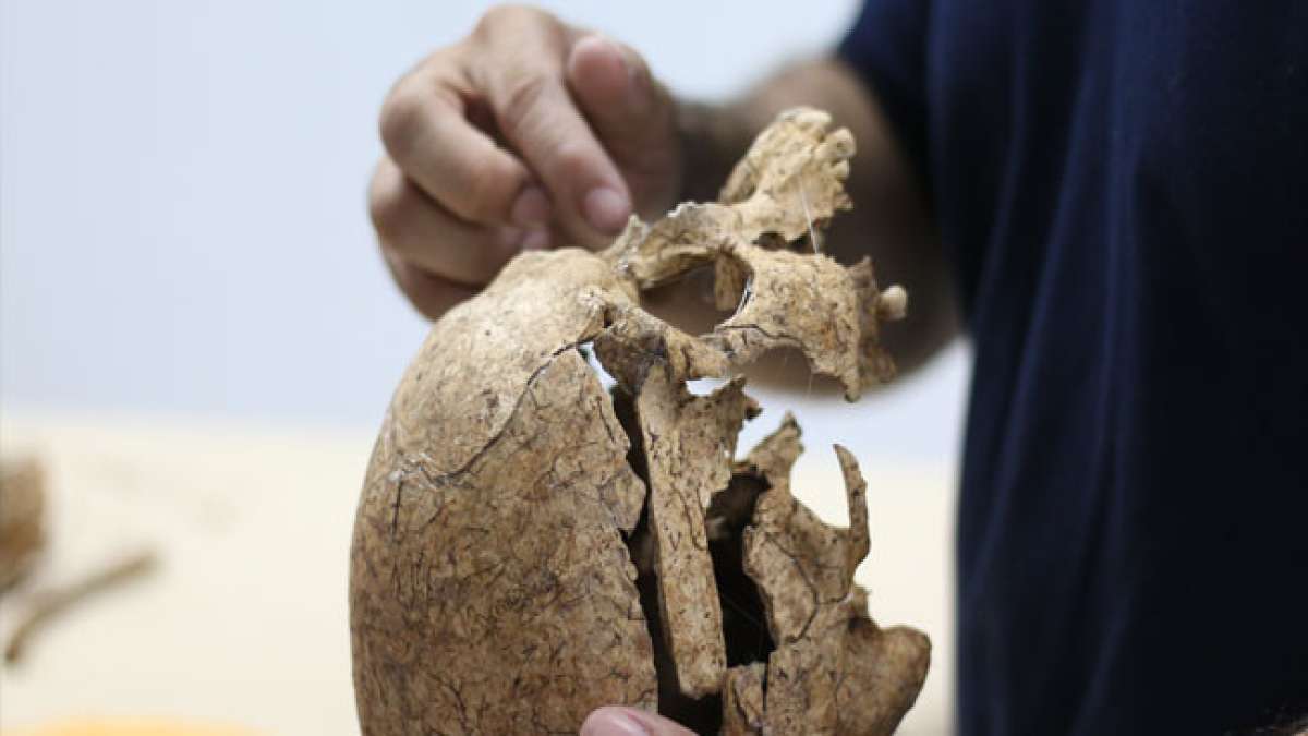 Entdecken Sie die Bedeutung der Dokumentenverwaltung bei unseren informativen Webinaren, präsentiert vom Kulturministerium.