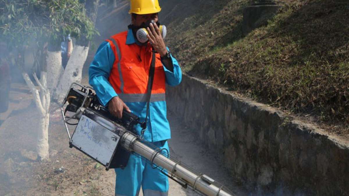 Kämpfen Sie gegen Dengue und schützen Sie Ihre Gemeinschaft.