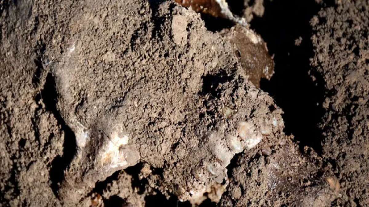 Gedenken Sie den Opfern der Massengräber im Irak und erfahren Sie mehr über die traurige Geschichte der Jahre von 1983 bis 1991.