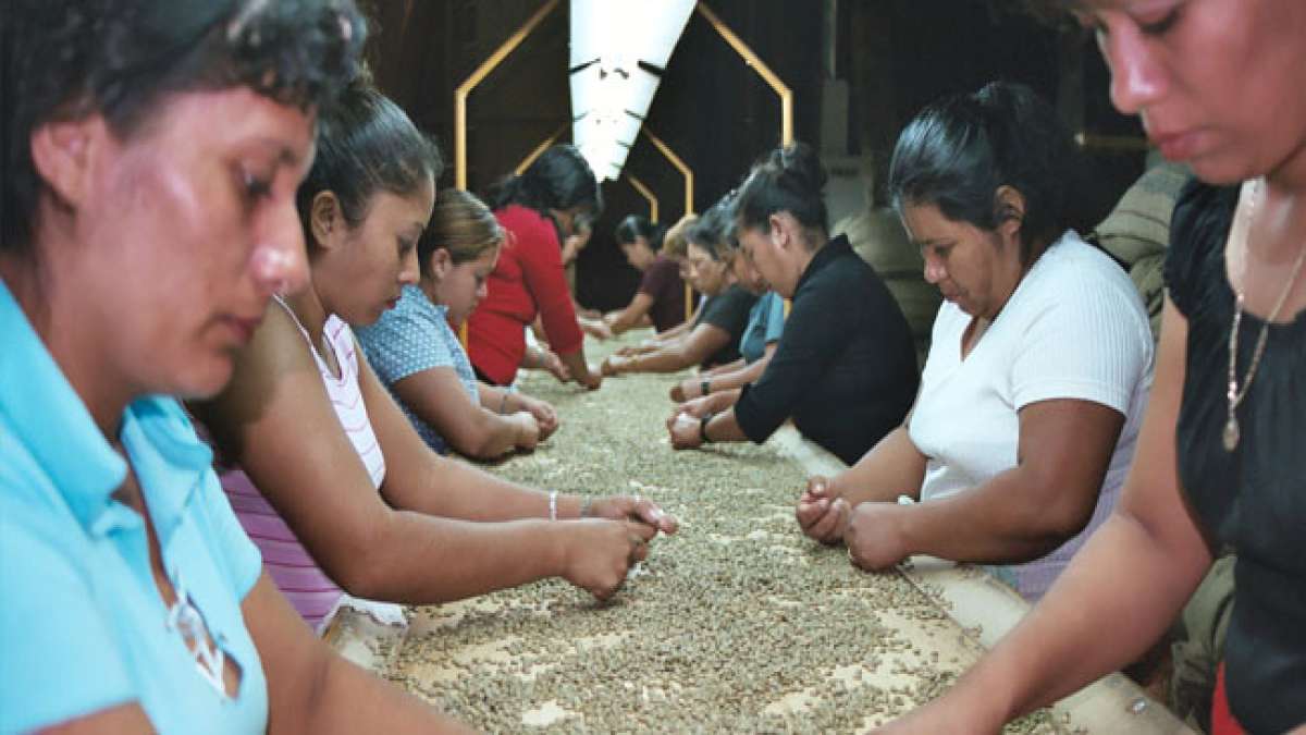 Feiern Sie den Nationalen Tag des Kaffees in El Salvador am 1. Oktober und tauchen Sie ein in die reiche Geschichte und Kultur dieses hochgeschätzten Produkts.
