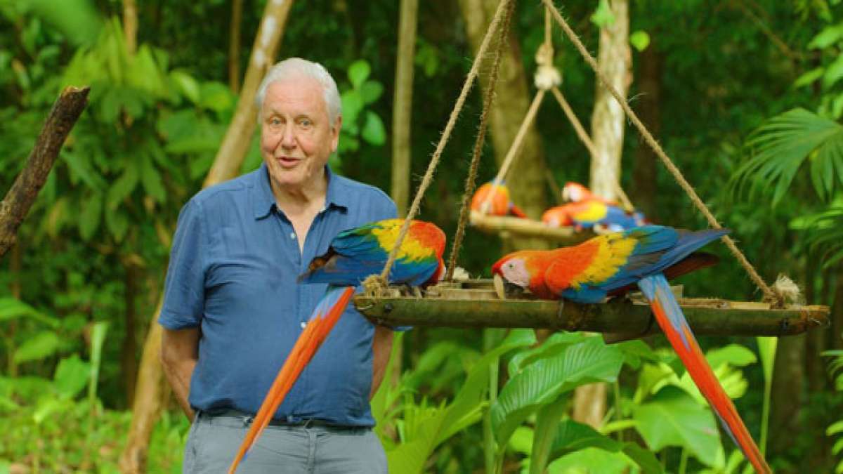 Feiern Sie den Tag des Rundfunksprechers in Costa Rica am 24. März, an dem wir den Ursprung der Rundfunksprecher ehren und die Verbindung zum Erzengel Gabriel entdecken, dem ersten Verkünder in der Geschichte.