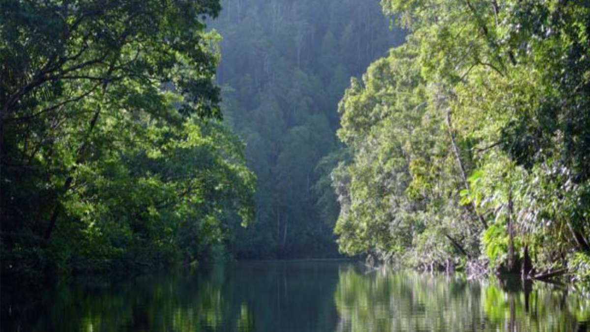 Erfahren Sie mehr über die reiche Flora und Fauna dieser Region, die charakteristisch für Australien und Neuguinea ist.