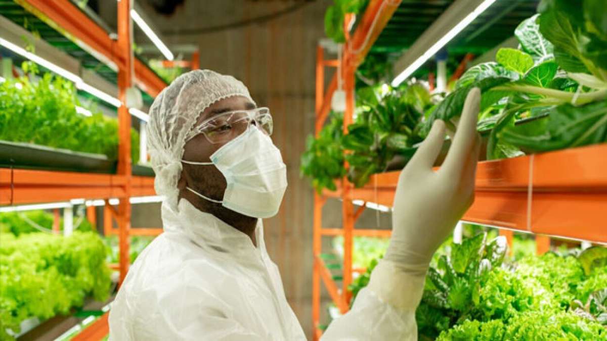 Tauchen Sie ein in die Geschichte und Bedeutung des Agraringenieurberufs anlässlich des Tags des Agraringenieurs in Brasilien am 27. Oktober.