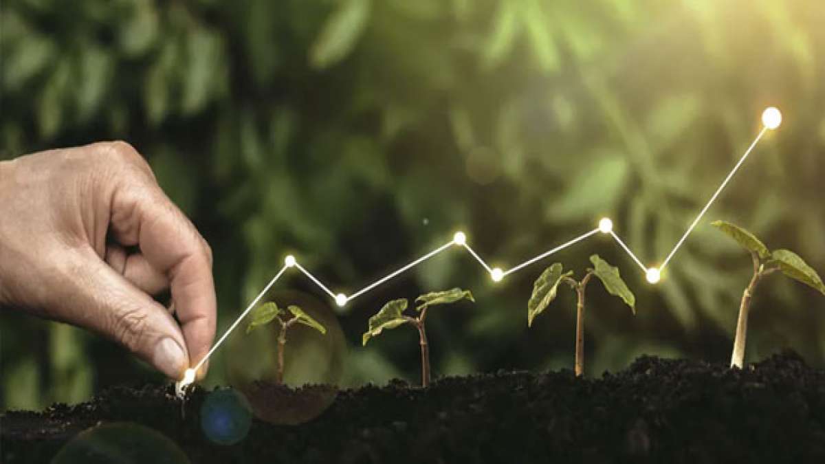 Feiern Sie den Tag der Nachhaltigkeit am vierten Mittwoch im Oktober und entdecken Sie, wie Sie aktiv zur Bewahrung unseres Planeten beitragen können.