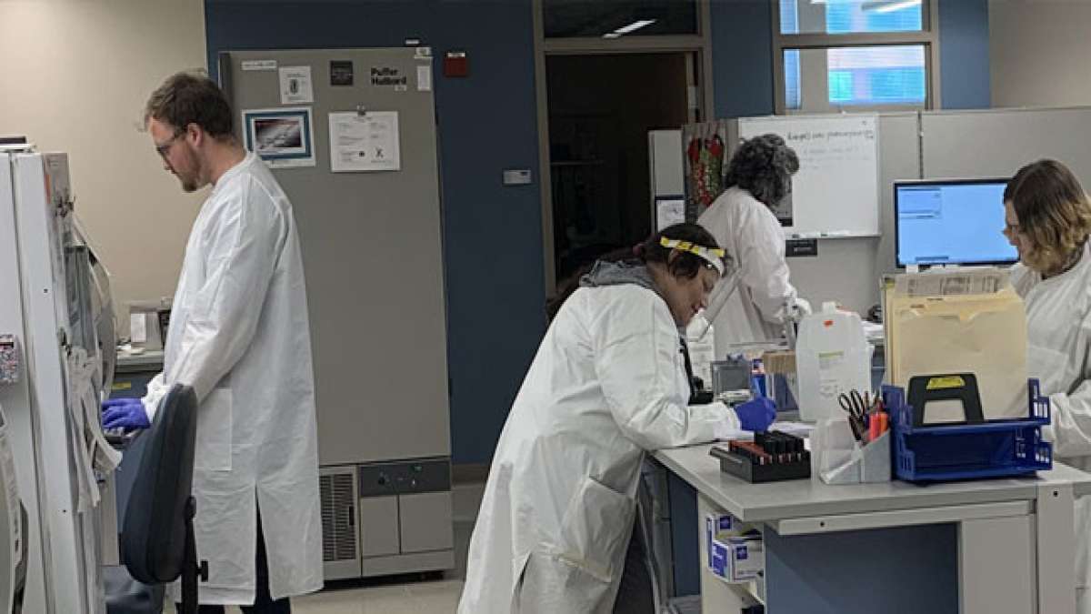 27. Juni – Tag des klinischen Pathologen in Mexiko: Ein Tag, um mehr über diese faszinierende Disziplin zu erfahren.