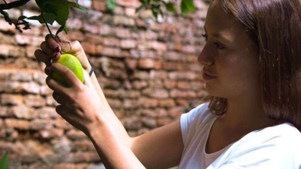 Entdecken Sie die bedeutende Rolle der Ernährungswissenschaft in der Gesundheit und Forschung.