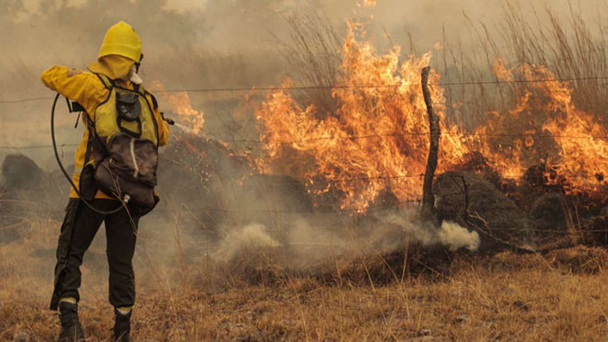 Gedenken Sie am 18. August dem Tag der Waldbrandverhütung in Argentinien und erfahren Sie, wie Waldbrände verheerende Auswirkungen auf Natur und Gesellschaft haben können. Gedenken Sie am 18. August dem Tag der Waldbrandverhütung in Argentinien und erfahren Sie, wie Waldbrände verheerende Auswirkungen auf Natur und Gesellschaft haben können.