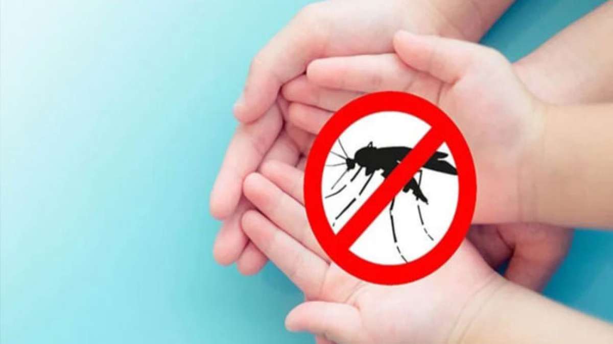 26. August – Internationaler Tag gegen Denguefieber: Ein Tag, um sich über die Krankheit und ihre Prävention zu informieren.