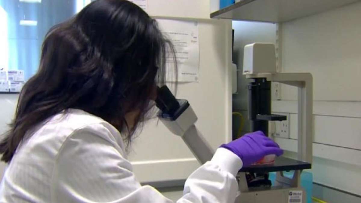 24. März – Internationaler Myelom-Aktionstag: Ein Tag, um Hoffnung zu geben und für eine Zukunft ohne Myelom zu kämpfen.